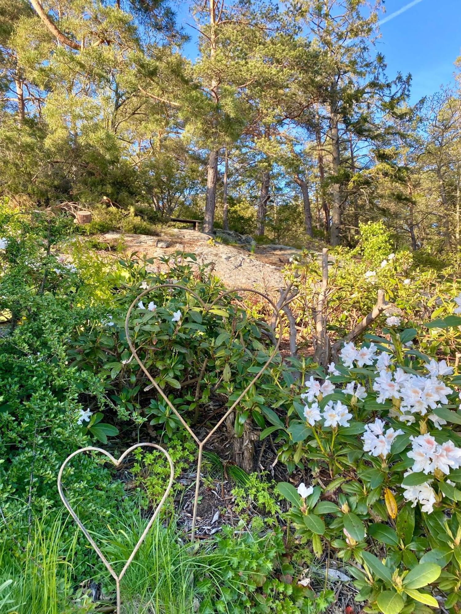 Thecabinljungskile Kültér fotó