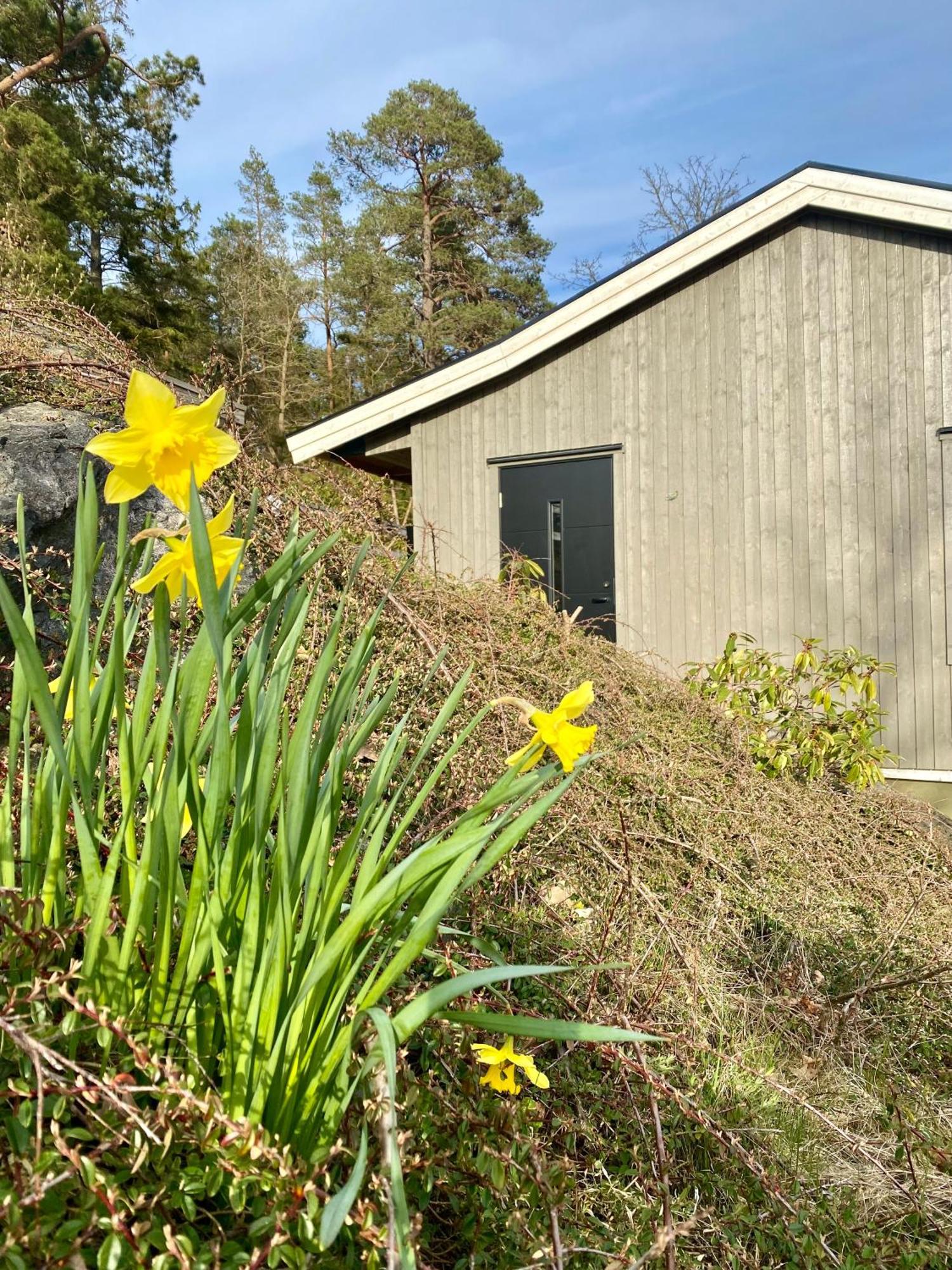 Thecabinljungskile Kültér fotó